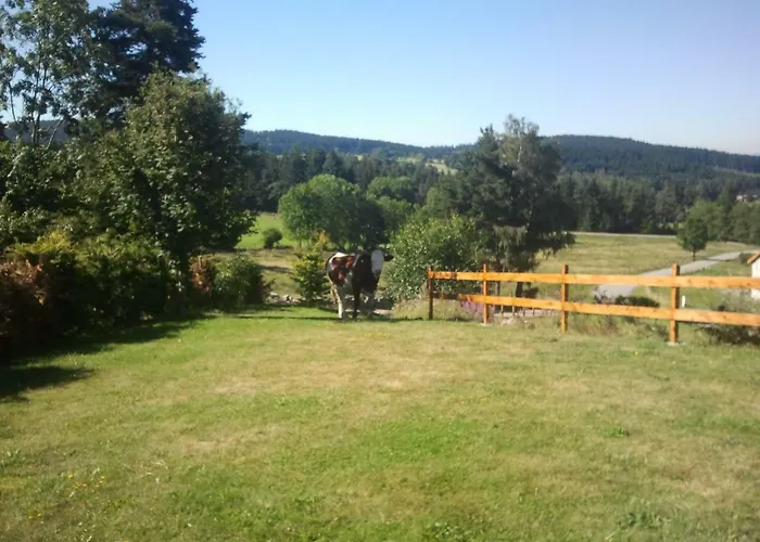 Ressourcez Vous En Pleine Nature!